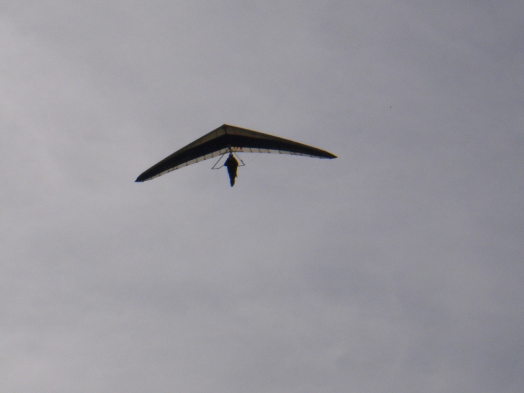 DSC07066.JPG